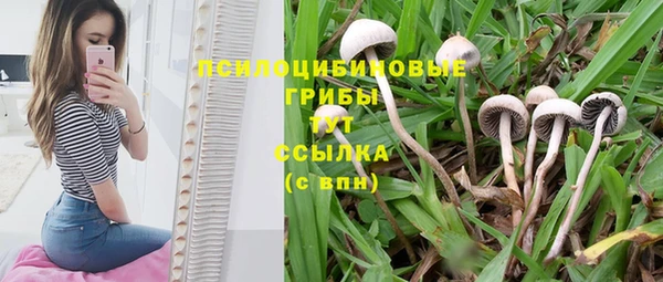 ALPHA PVP Вязники