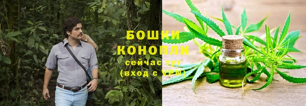 спайс Вяземский