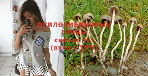 спайс Вяземский