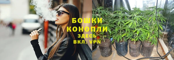 спайс Вяземский
